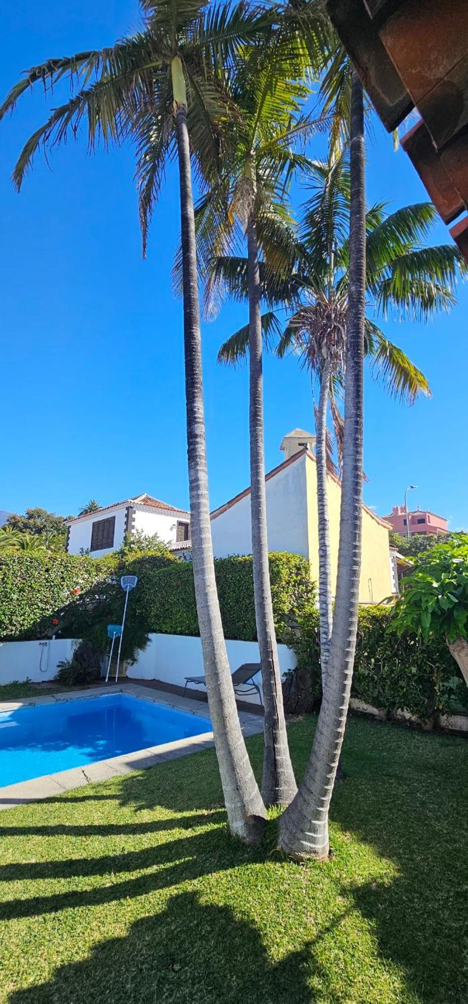 Villa La Paz Puerto de la Cruz  Exterior photo